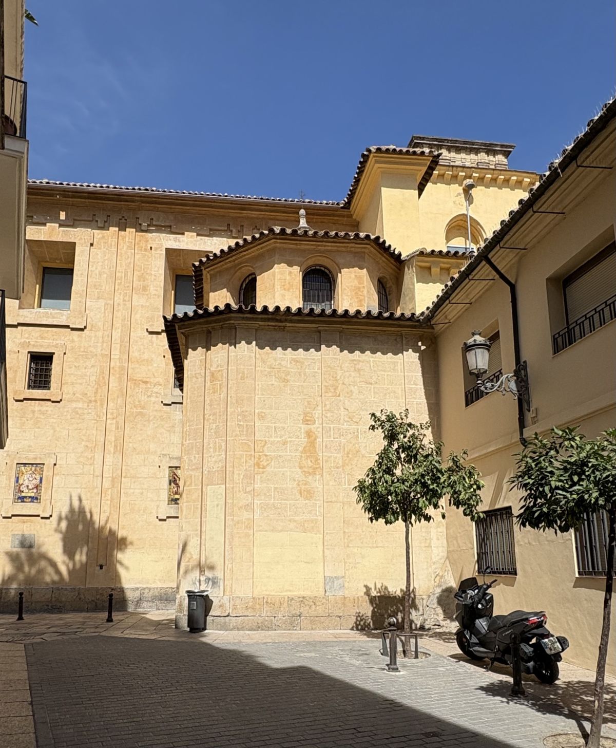 Façades ocre et orangers dans une ruelle du centre historique